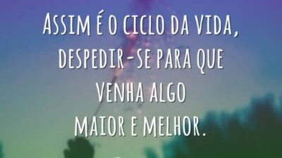 O ciclo da vida