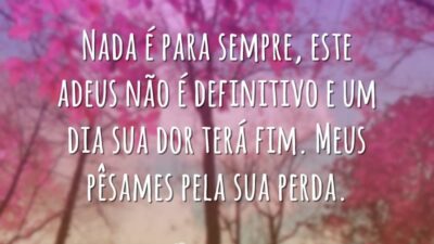 Este adeus não é definitivo