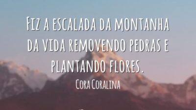 Fiz a escalada da montanha da vida removendo pedras e plantando flores.
