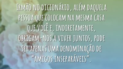 Irmão no dicionário