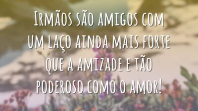 Irmãos são amigos