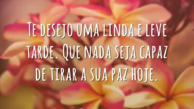 Linda e leve tarde
