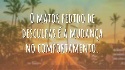 O maior pedido de desculpas