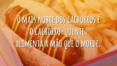 O mais nobre cachorro