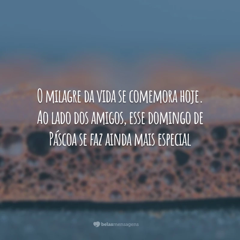 O milagre da vida se comemora hoje. Ao lado dos amigos, esse domingo de Páscoa se faz ainda mais especial.