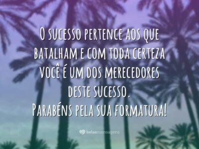 O sucesso te pertence