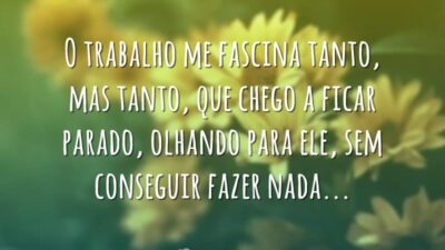 O trabalho me fascina
