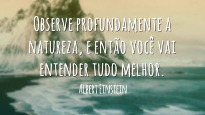 Observe profundamente a natureza