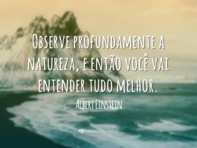 Observe profundamente a natureza