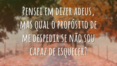 Pensei em dizer adeus
