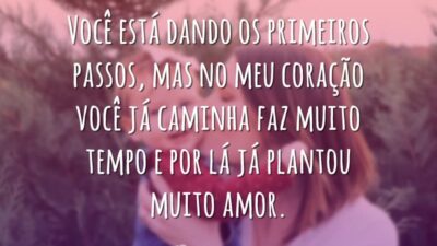 Plantou amor em mim