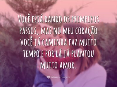 Plantou amor em mim