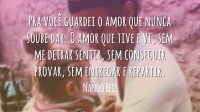 Pra você guardei