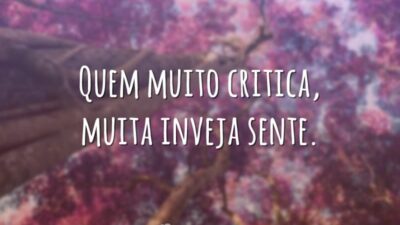 Quem muito critica