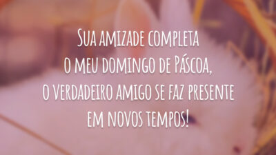Sua amizade completa o meu domingo de Páscoa, o verdadeiro amigo se faz presente em novos tempos!