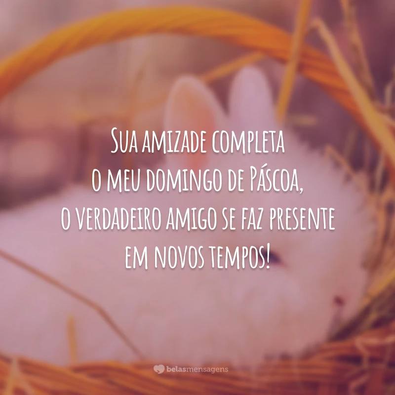 Sua amizade completa o meu domingo de Páscoa, o verdadeiro amigo se faz presente em novos tempos!