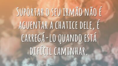 Suportar seu irmão