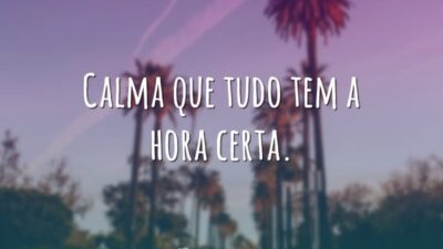 Tudo tem hora certa