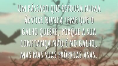 Um pássaro que repousa