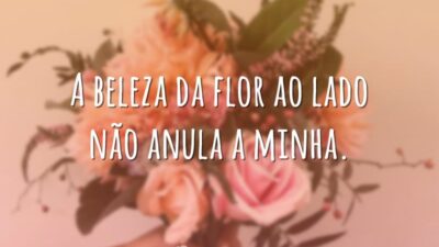 A beleza da flor ao lado não anula a minha.