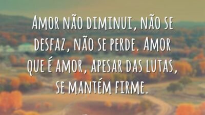 Amor não diminui