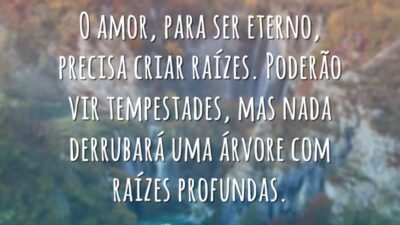 Amor precisa criar raízes