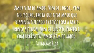 Amor vem de amor