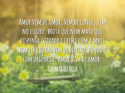 Amor vem de amor