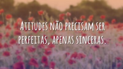 Atitudes não precisam ser perfeitas, apenas sinceras.