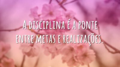 Disciplina é a ponte