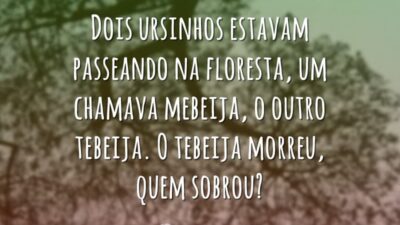 Dois ursinhos