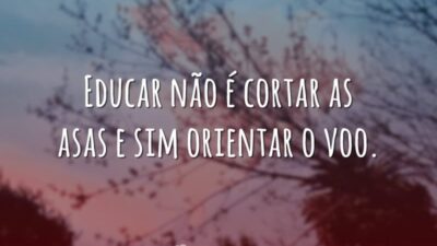 Educar não é cortar as asas e sim orientar o voo.