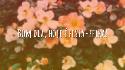 Festa-feira