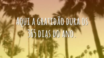Gratidão dura 365 dias