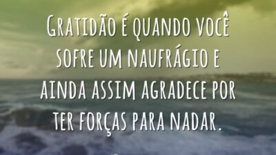 Gratidão é ter força