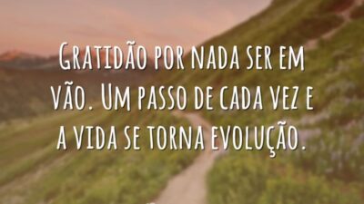 Gratidão, nada é em vão