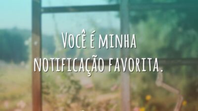 Minha notificação favorita