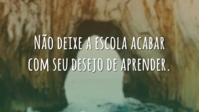 Não deixe a escola acabar com seu desejo de aprender.