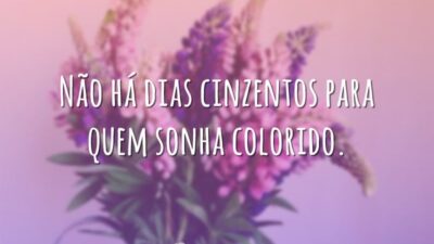Não há dias cinzentos
