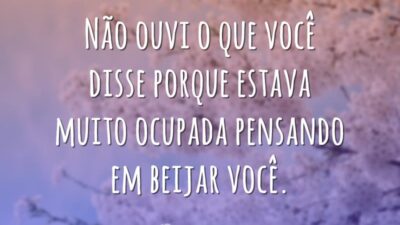 Não ouvi o que disse