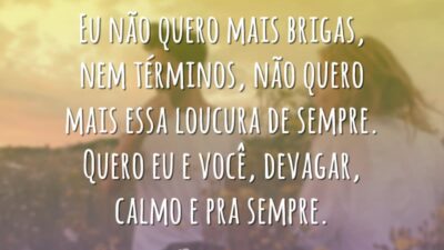 Não quero mais brigas
