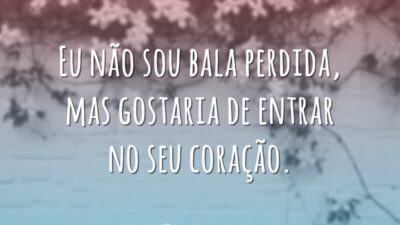 Não sou bala perdida