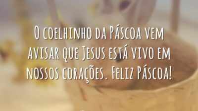 O coelhinho da páscoa