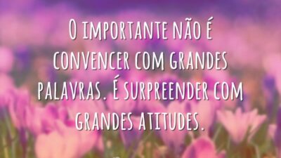 O importante não é convencer com grandes palavras. É surpreender com grandes&hellip;
