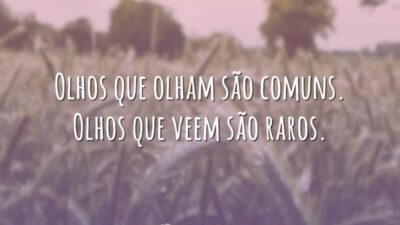 Olhos que veem