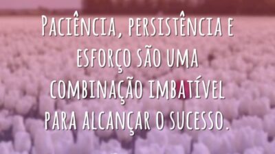 Paciência, persistência e esforço