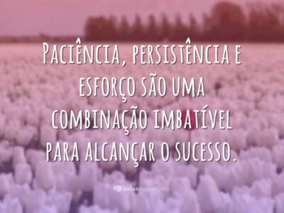 Paciência, persistência e esforço