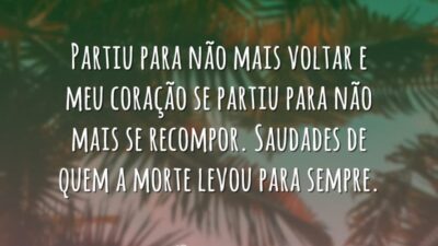 Partiu para não voltar