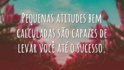 Pequenas atitudes bem calculadas