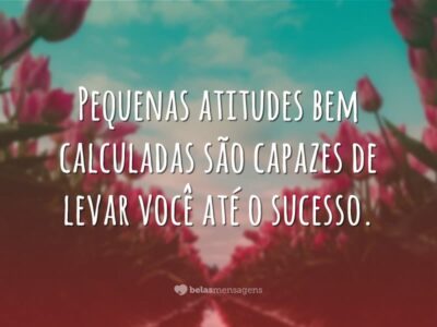 Pequenas atitudes bem calculadas